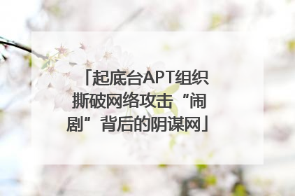 起底台APT组织 撕破网络攻击“闹剧”背后的阴谋网