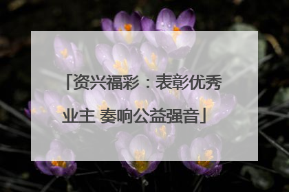 资兴福彩：表彰优秀业主 奏响公益强音