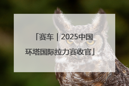 赛车｜2025中国环塔国际拉力赛收官
