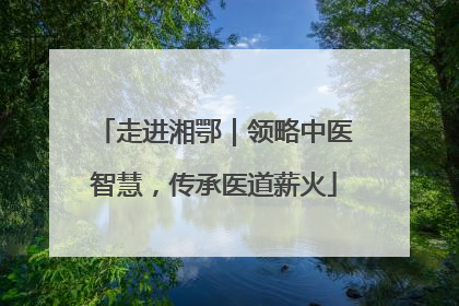 走进湘鄂｜领略中医智慧，传承医道薪火