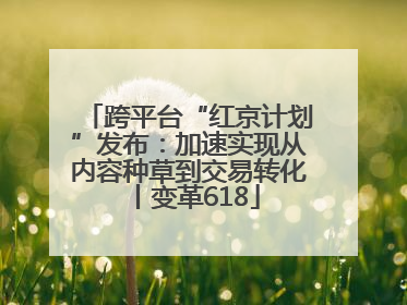 跨平台“红京计划”发布：加速实现从内容种草到交易转化丨变革618