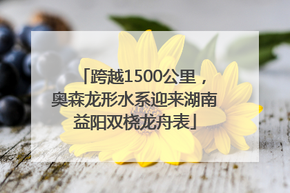 跨越1500公里，奥森龙形水系迎来湖南益阳双桡龙舟表