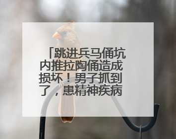跳进兵马俑坑内推拉陶俑造成损坏！男子抓到了，患精神疾病……