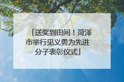 送奖到田间！菏泽市举行见义勇为先进分子表彰仪式