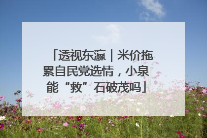 透视东瀛｜米价拖累自民党选情，小泉能“救”石破茂吗