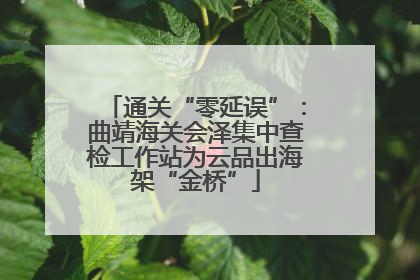 通关“零延误”：曲靖海关会泽集中查检工作站为云品出海架“金桥”