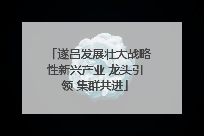 遂昌发展壮大战略性新兴产业 龙头引领 集群共进