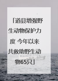 道县增强野生动物保护力度 今年以来共救助野生动物65只