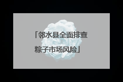 邻水县全面排查粽子市场风险