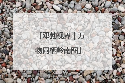 邓勃视界｜万物同栖岭南图