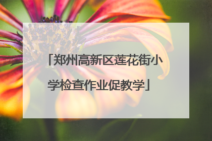 郑州高新区莲花街小学检查作业促教学