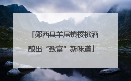 郧西县羊尾镇樱桃酒酿出“致富”新味道