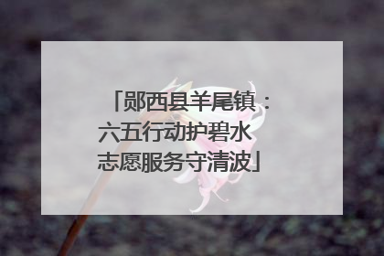 郧西县羊尾镇：六五行动护碧水 志愿服务守清波