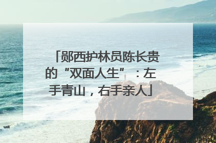 郧西护林员陈长贵的“双面人生”：左手青山，右手亲人