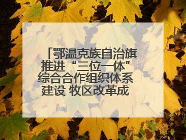 鄂温克族自治旗推进“三位一体”综合合作组织体系建设 牧区改革成果丰硕