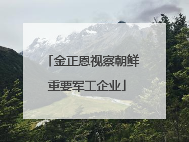 金正恩视察朝鲜重要军工企业