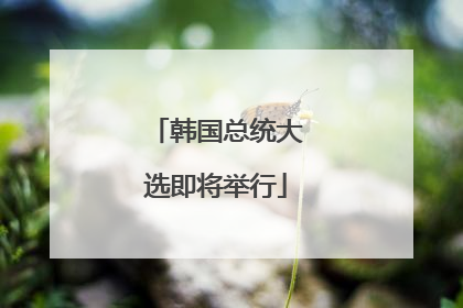 韩国总统大选即将举行
