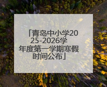 青岛中小学2025-2026学年度第一学期寒假时间公布