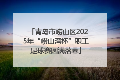 青岛市崂山区2025年“崂山湾杯”职工足球赛圆满落幕