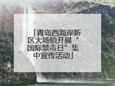 青岛西海岸新区大场镇开展“国际禁毒日”集中宣传活动