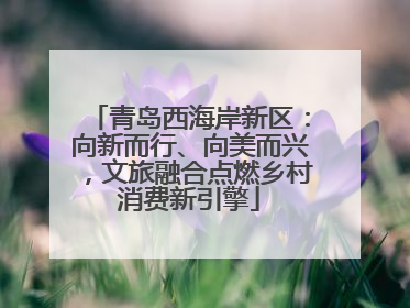 青岛西海岸新区：向新而行、向美而兴，文旅融合点燃乡村消费新引擎