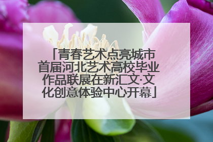 青春艺术点亮城市 首届河北艺术高校毕业作品联展在新汇文·文化创意体验中心开幕