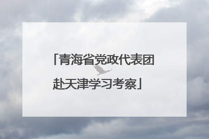 青海省党政代表团赴天津学习考察