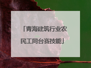 青海建筑行业农民工同台赛技能