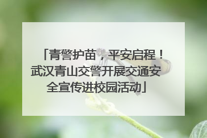 青警护苗，平安启程！武汉青山交警开展交通安全宣传进校园活动