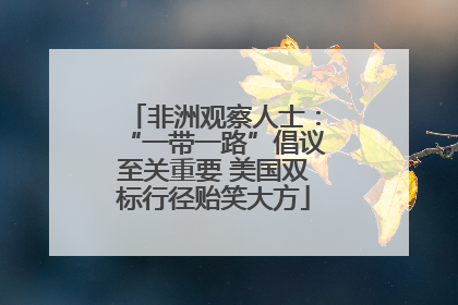 非洲观察人士：“一带一路”倡议至关重要 美国双标行径贻笑大方