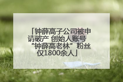 钟薛高子公司被申请破产 创始人账号“钟薛高老林”粉丝仅1800余人