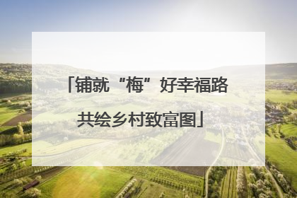 铺就“梅”好幸福路 共绘乡村致富图