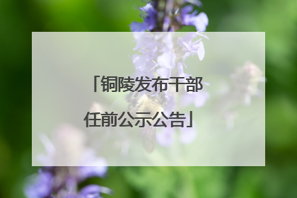 铜陵发布干部任前公示公告