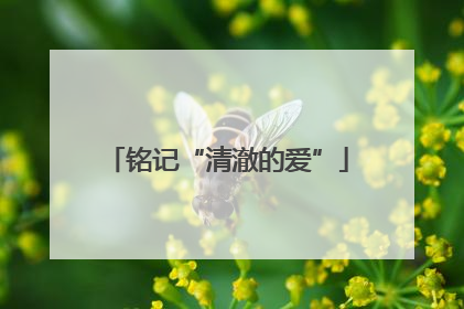 铭记“清澈的爱”