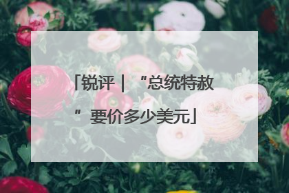 锐评｜“总统特赦”要价多少美元