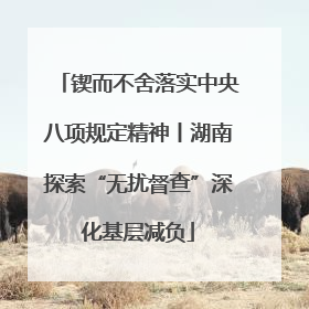 锲而不舍落实中央八项规定精神丨湖南探索“无扰督查”深化基层减负