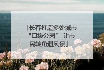 长春打造多处城市“口袋公园” 让市民转角遇风景