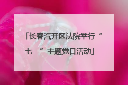 长春汽开区法院举行“七一”主题党日活动