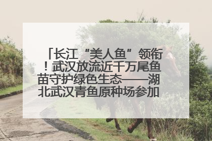 长江“美人鱼”领衔！武汉放流近千万尾鱼苗守护绿色生态——湖北武汉青鱼原种场参加2025年“全国放鱼日”增殖放流活动