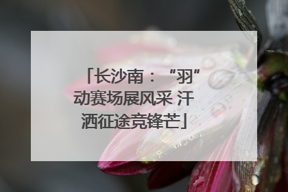 长沙南：“羽”动赛场展风采 汗洒征途竞锋芒