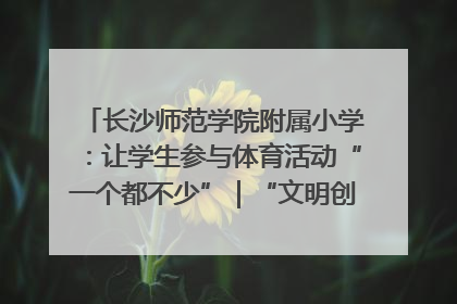 长沙师范学院附属小学：让学生参与体育活动“一个都不少”｜“文明创建耀三湘”专栏