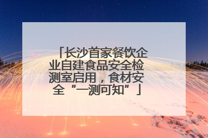 长沙首家餐饮企业自建食品安全检测室启用，食材安全“一测可知”