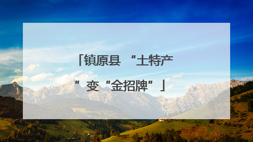 镇原县 “土特产”变“金招牌”