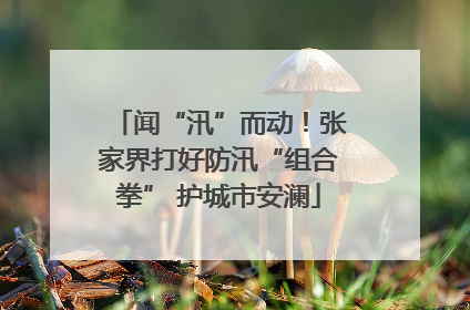 闻“汛”而动！张家界打好防汛“组合拳” 护城市安澜
