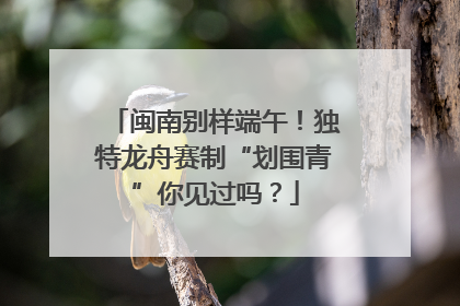 闽南别样端午！独特龙舟赛制“划围青”你见过吗？