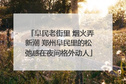阜民老街里 烟火弄新潮 郑州阜民里的松弛感在夜间格外动人