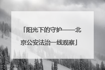 阳光下的守护——北京公安法治一线观察