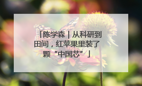 陈学森｜从科研到田间，红苹果里装了颗“中国芯”