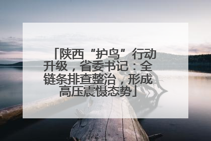 陕西“护鸟”行动升级，省委书记：全链条排查整治，形成高压震慑态势