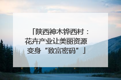 陕西神木铧西村：花卉产业让美丽资源变身“致富密码”